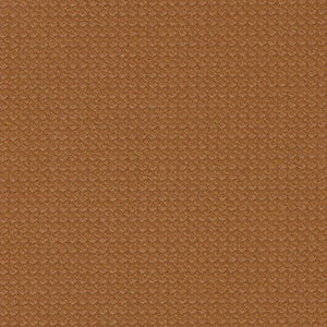 Apex Softside Vinyl