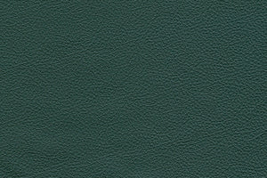 Basic Leather