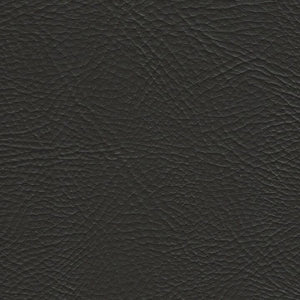 Pegasus Softside Vinyl