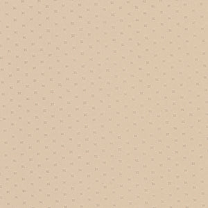 Polaris Softside Vinyl