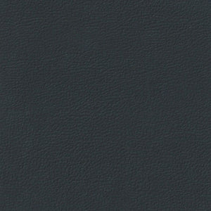 Longitude Softside Vinyl