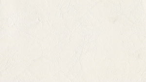 Flotilla Snow White Marine Vinyl-Foam Backed/Unbacked