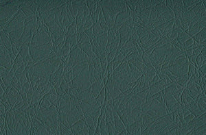 OEM Thomas Bus Vinyl-Clearance Priced!