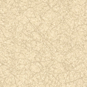 Renaissance Softside Vinyl-Clearance Priced!