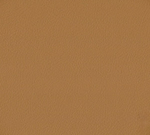 Paseo Leather & Matching Vinyl