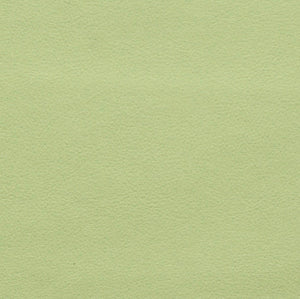 Persuasion Nassimi Symphony Vinyl Collection