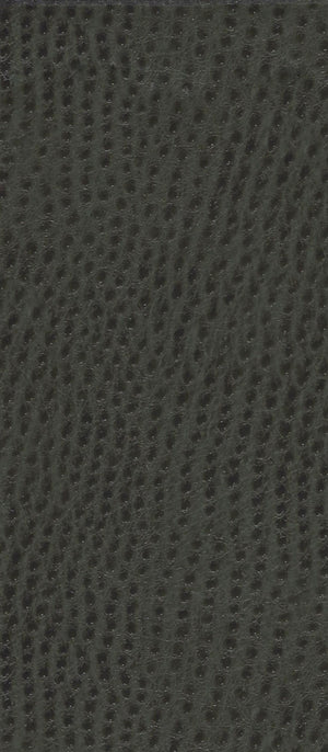 Phoenix Nassimi Symphony Collection