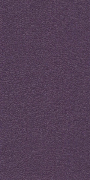 Persuasion,Aubergine