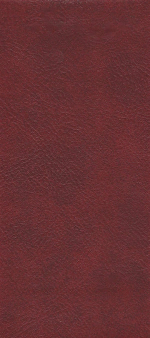 Automotive Vinyl Specials-Nassimi (Clearance Priced!)