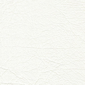 Aries Softside Vinyl