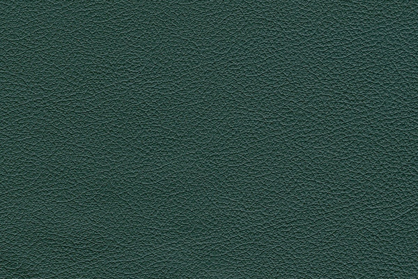Basic Leather Pebble Grained Aniline Finish