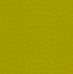 Dolce Softside Vinyl-Discontinued & Clearance Priced!