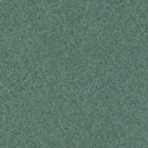 Renaissance Softside Vinyl-Clearance Priced!