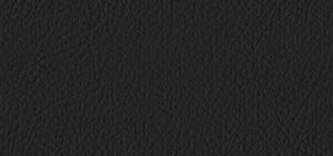 Paseo Leather & Matching Correo Vinyl